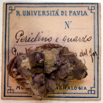 Periclino