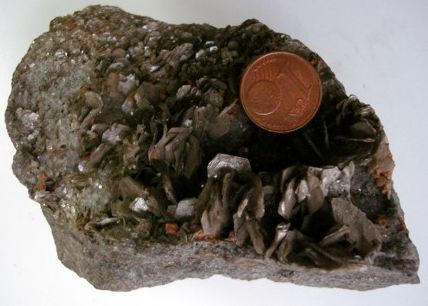 Muscovite